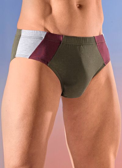 Viererpack Slips mit farbigen Eins&auml;tzen 