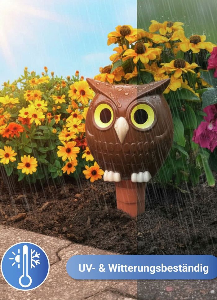 Jumbo-Bew&auml;sserungs-Eule 