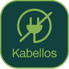 BADERde_DE1Logo_Kabellos_Hammersmith_dunkel
