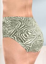 Sechserpack Slips mit Gummizug im Bund 