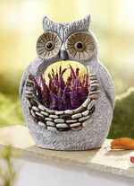 Wetterfeste Pflanzschale 