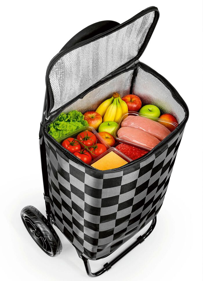 EASYmaxx Einkaufsroller 