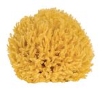 Badeschwamm aus nat&uuml;rlichem Material 