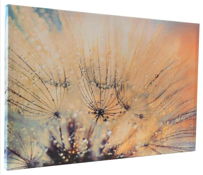 Leinwandbild mit Zertifikat 