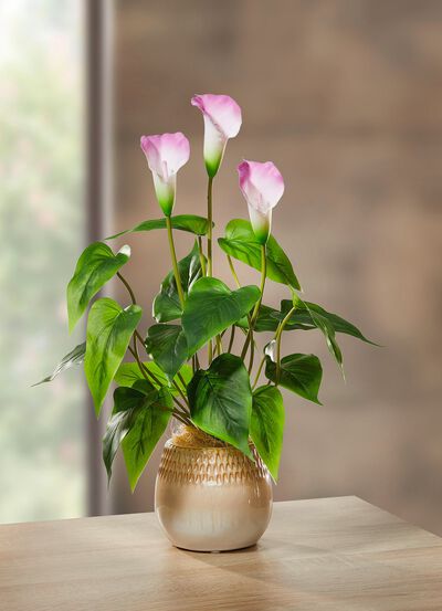 Galla-Gesteck im Keramiktopf 