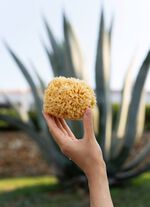 Badeschwamm aus nat&uuml;rlichem Material NATUR