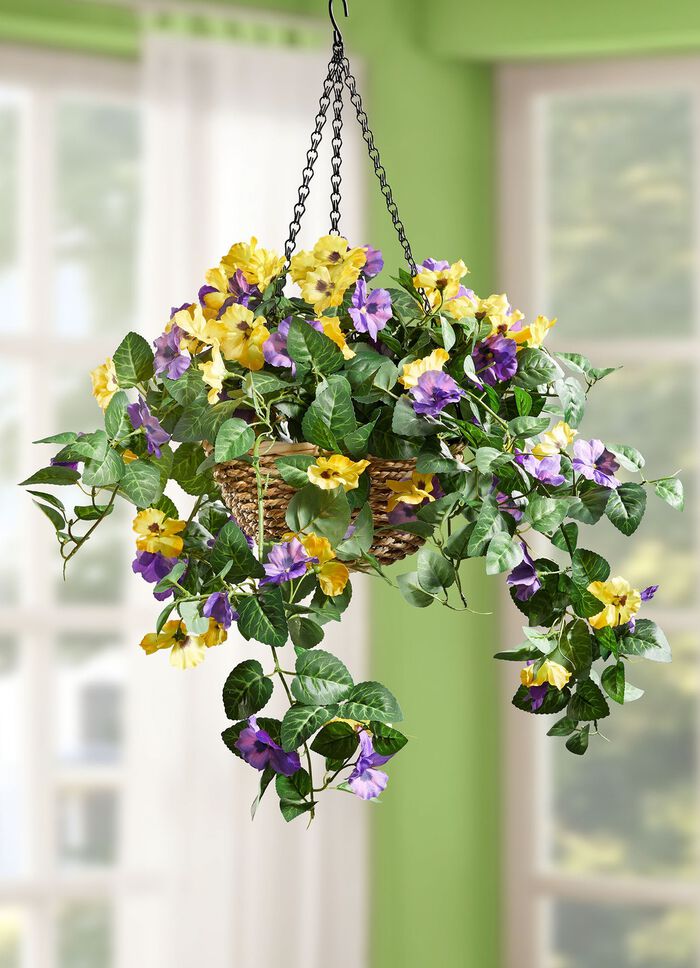 Stiefm&uuml;tterchen im Korb 