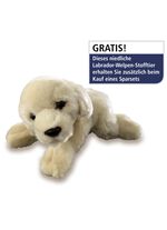 Hochwertige Daunendecken-Serie von Spessarttraum WEISS