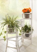 Blumenst&auml;nder aus Rattangeflecht WEISS