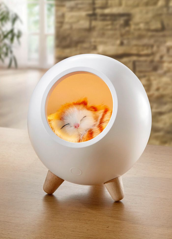 Tischleuchte mit integriertem Akku 