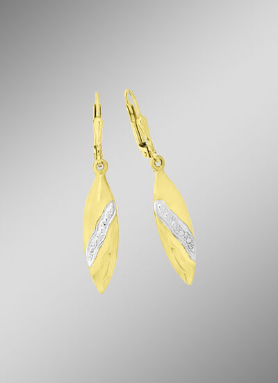 Tolle Ohrringe in Bicolor 