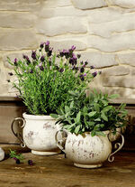 Jardiniere mit geschwungenen Eisenhenkeln 