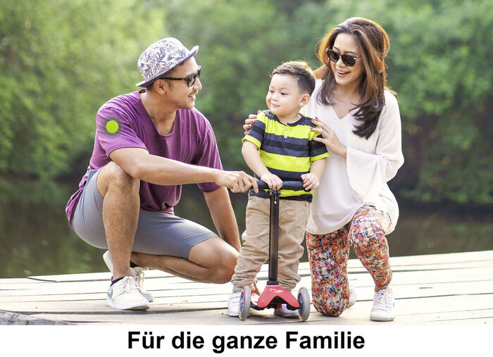 Anti-M&uuml;cken-Aufkleber 