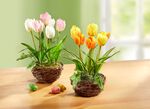 Tulpen im Weidekorb GELB-ORANGE