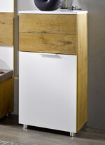 Schuhschrank mit Griffen in Chrom-Optik