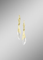 Klassische, glänzende Ohrringe in Bicolor 