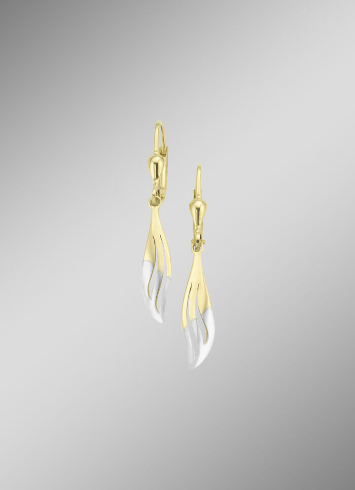 Klassische, glänzende Ohrringe in Bicolor 