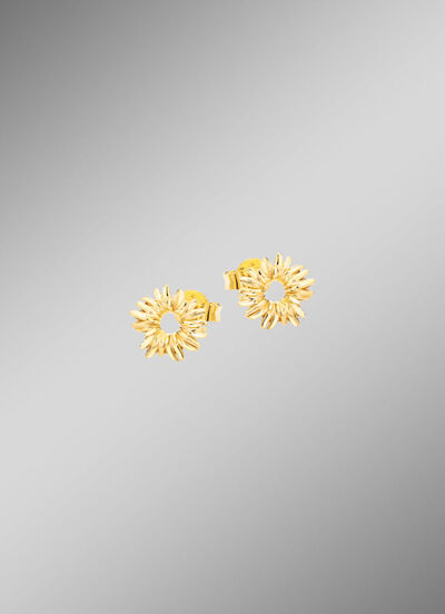 Schicke Ohrstecker im Blumen-Design 