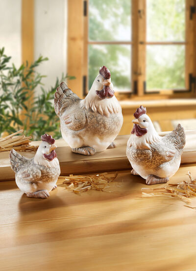 Huhn  