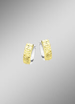 Bicolor-Klappcreolen 