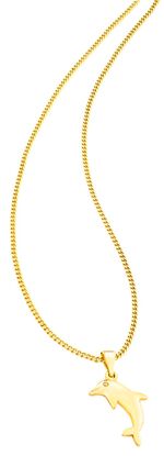 Sch&ouml;ner Delfin-Anh&auml;nger 