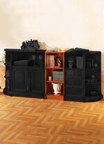 Teilmassive M&ouml;belserie mit Echtholzfurnier KIRSCHBAUM