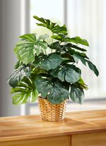 T&auml;uschend echt aussehendes Fensterblatt im Topf 