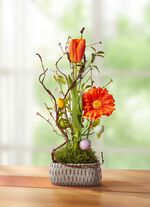 Gerbera/Tulpen-Arrangement 