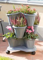 Pflanzturm Trifoglio GRAU