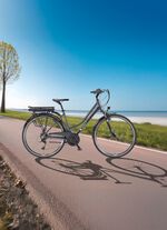 Trekking-E-Bike XT485 von Telefunken 