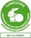 BADERde_CH1Logo_Caregora