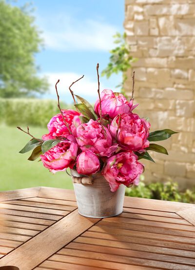 Pfingstrosengesteck im Topf 