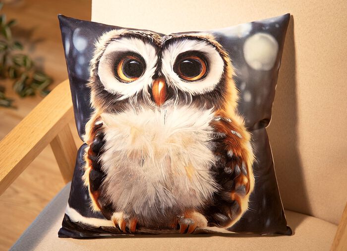 Kissenbezug in Samtoptik mit Eulen-Motiv 
