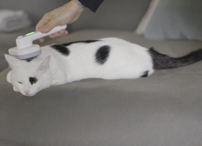 "PiddiPet IonBrush" Tierhaarb&uuml;rste  