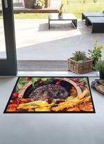 Fu&szlig;matte mit Igel-Motiv 