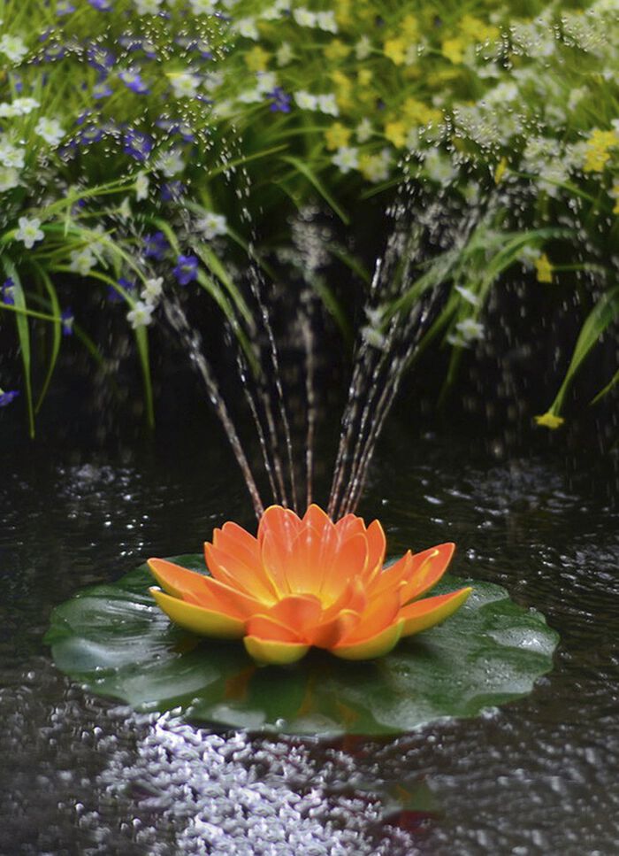 Solar-Seerose in verschiedenen Farben ORANGE