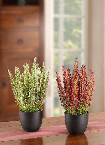 Naturgetreue Besenheide im 2er-Set  