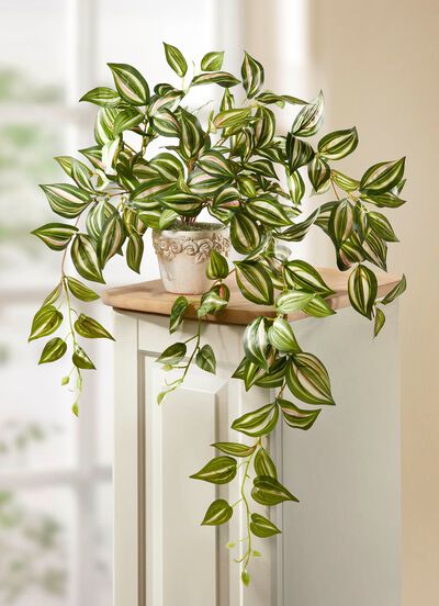 Naturgetreue Tradescantia-Ranke im Topf 