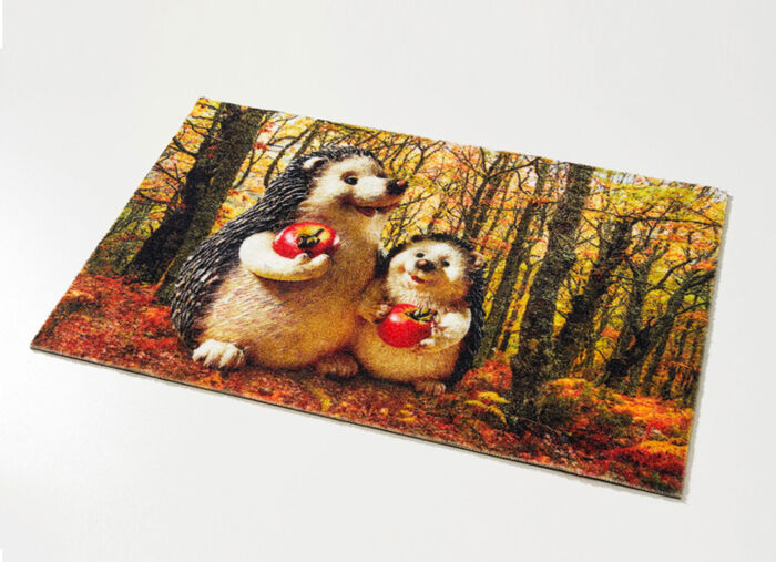 Fu&szlig;matte Igel aus 100% Polyamid 