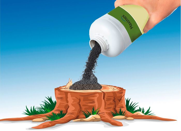 Wurzelweg-Granulat von Maximex 