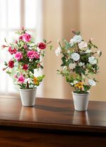 Rosengesteck im Keramiktopf 