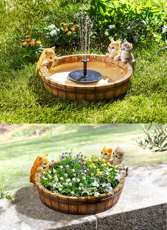 Pflanzschale "Kätzchen" 