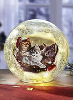 Glaskugel mit Beleuchtung 