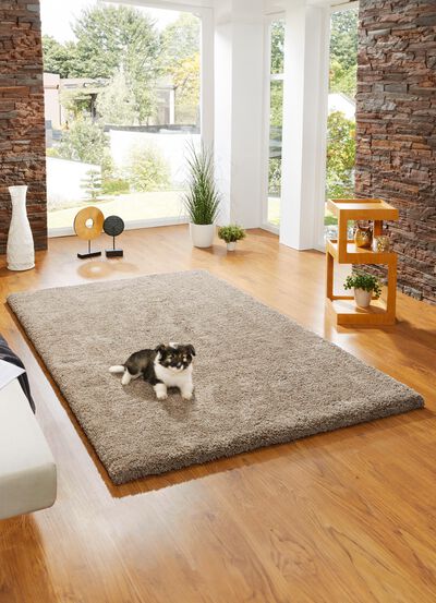 Kombistarke Br&uuml;cken, Galerien und Teppiche aus dichtgewebtem Shaggy-Flor 