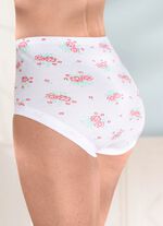 F&uuml;nferpack Slips mit auswechselbarem Gummizug 