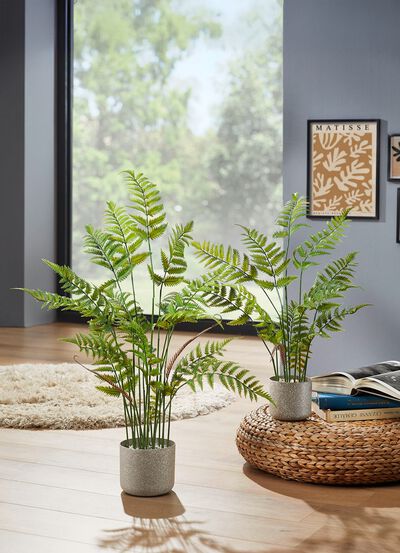 Echt aussehender Waldfarn im Topf 