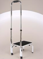 Trittstufe mit Haltegriff 