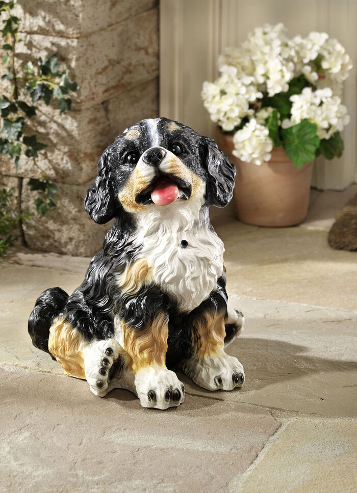 Bewegungsmelder Berner Sennenhund 