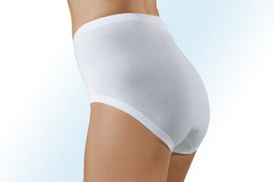 Schiesser Starlet-F&uuml;nferpack Slips 