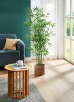 Bambus in Wasserhyazinthen-Korb 